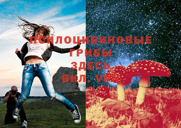 тгк Армянск
