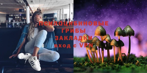 тгк Армянск